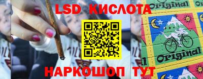 бошки Ковров