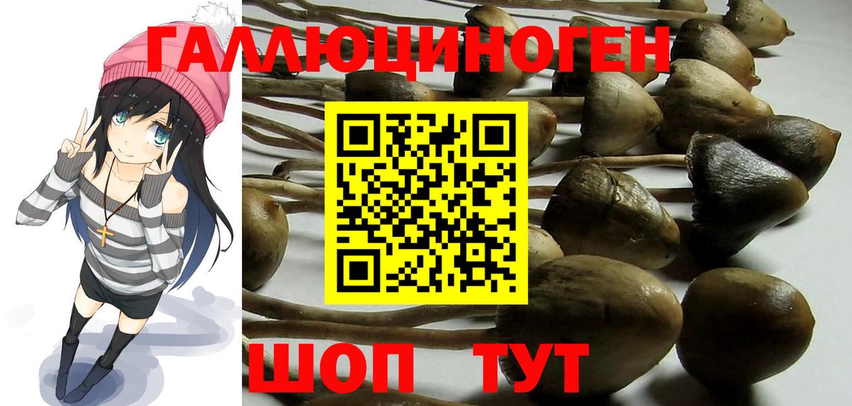 Воркута  Галлюциногенные грибы Cubensis  Вход с VPN 